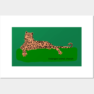 African cheetah, endangered animal in the world Posters and Art